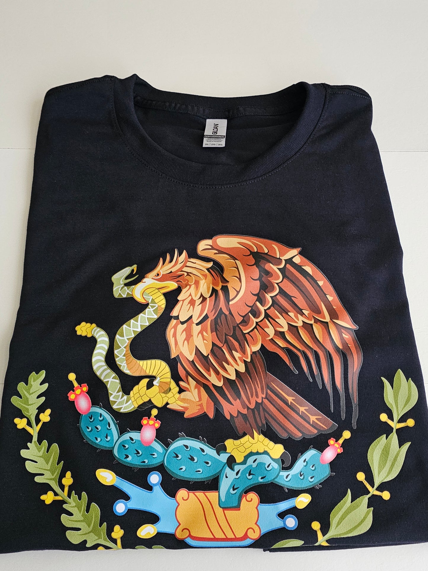 T shirt (XL)