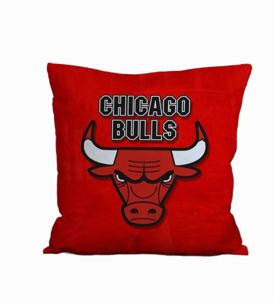 Pillow chicago bulls