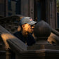 Baseball cap usa